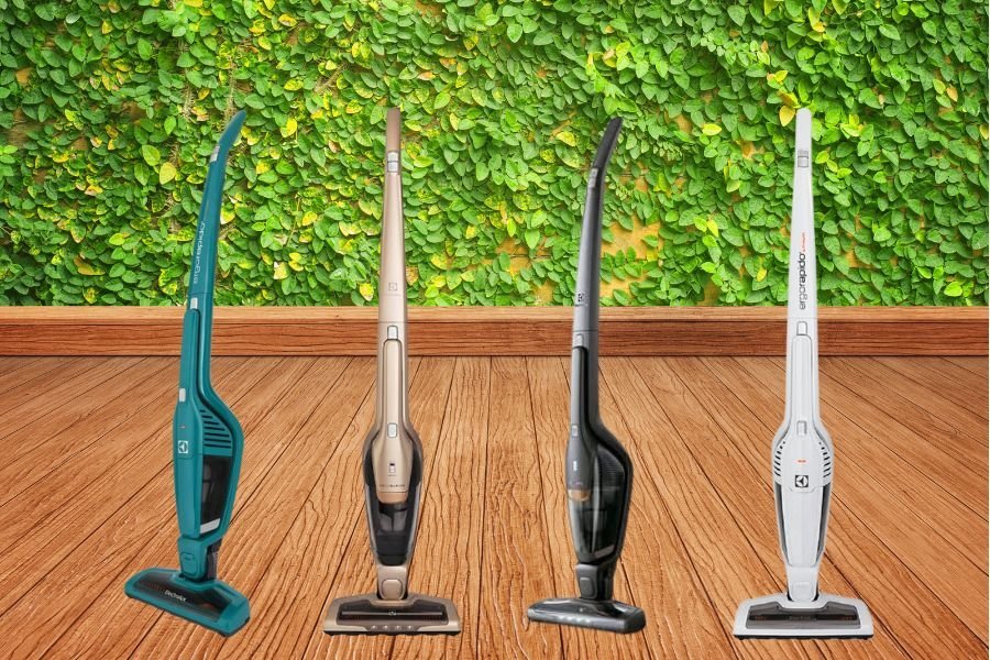 ergorapido electrolux diferenças