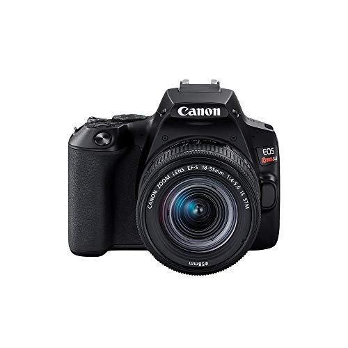 Câmera Canon SL3 DSLR com 24.1MP, 3
